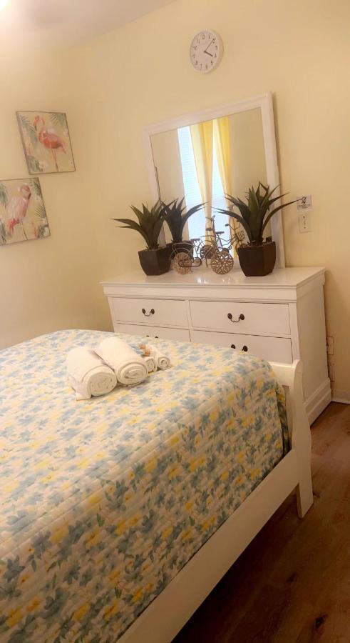 Caribbean Splendor Vacation Rental Near Bush Gardens Tampa Fl Extérieur photo